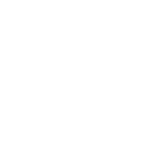 logo importir